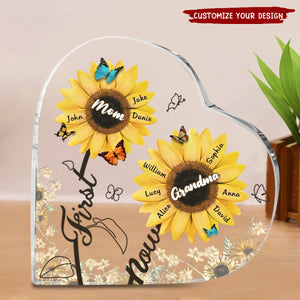 You Are The Sun In My Life - Family Personalized Heart Shaped Acrylic Plaque