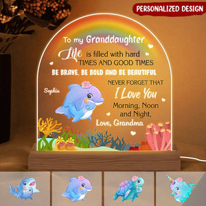 Cute Dolphin Personalized Plaque LED Lamp Night Light