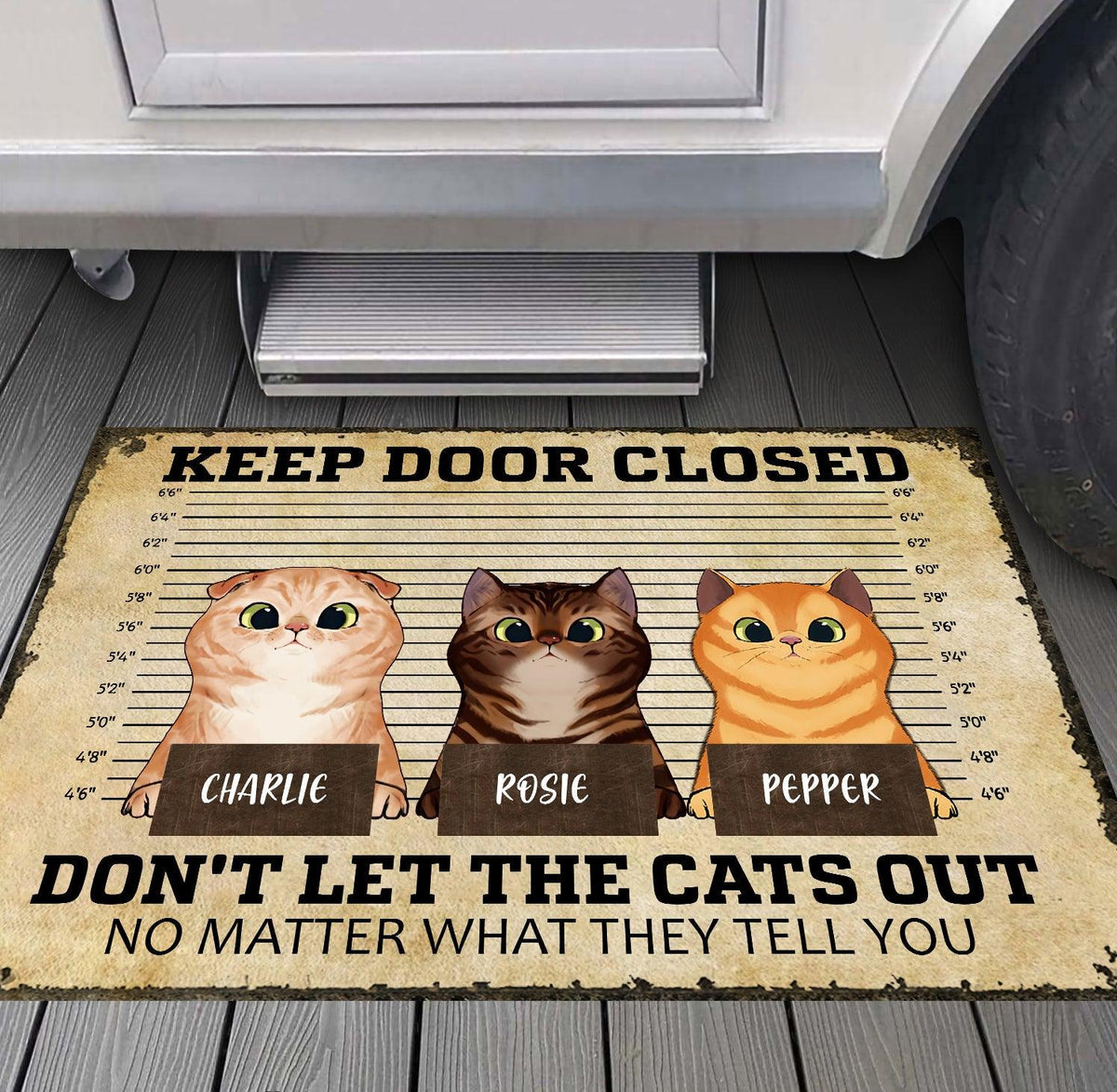 Don't Let The Cat Out Personalized Doormat, Personalized Gift for Cat Lovers, Cat Mom, Cat Dad