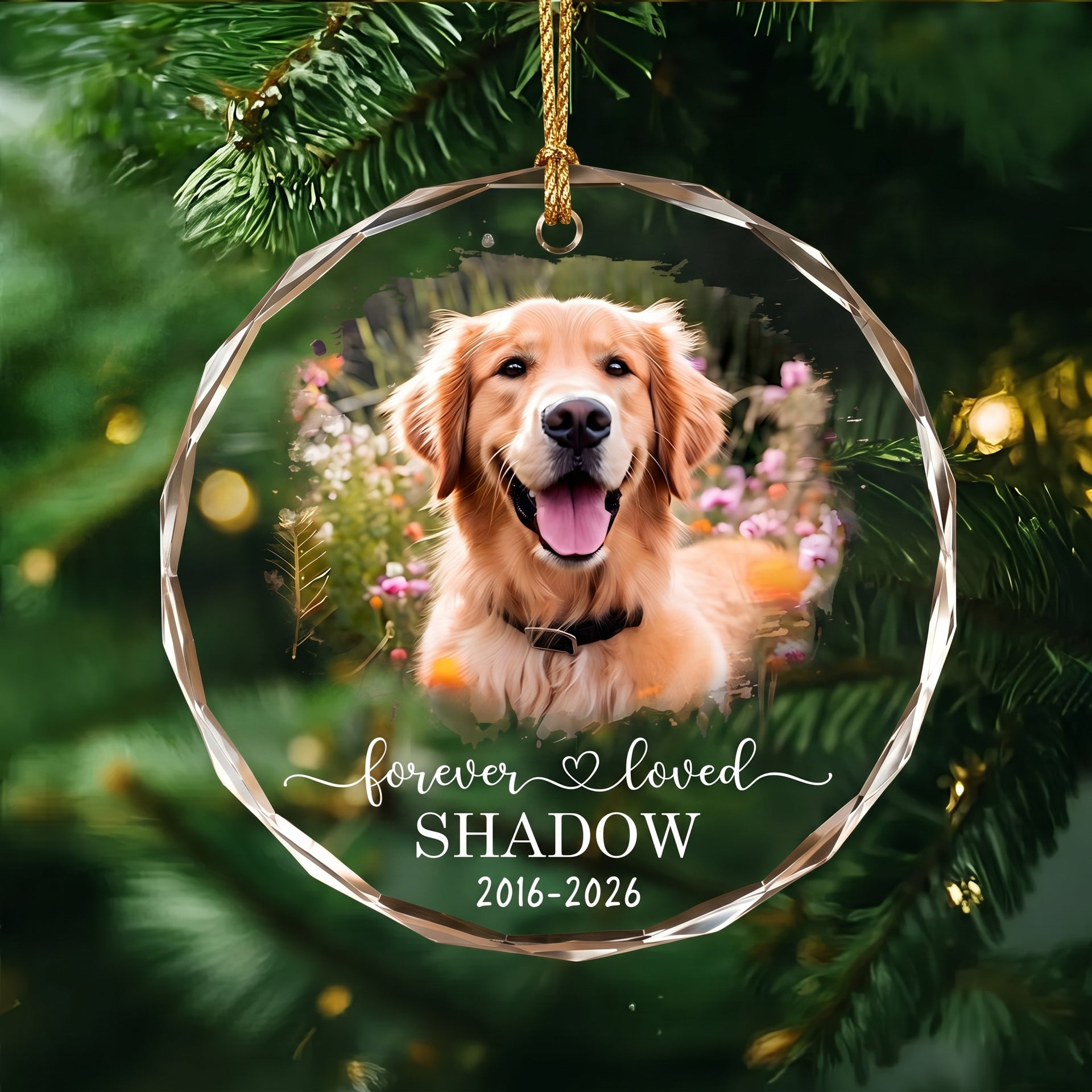 Personalized Memorial Dog Cat Forever Loved Circle Glass Ornament