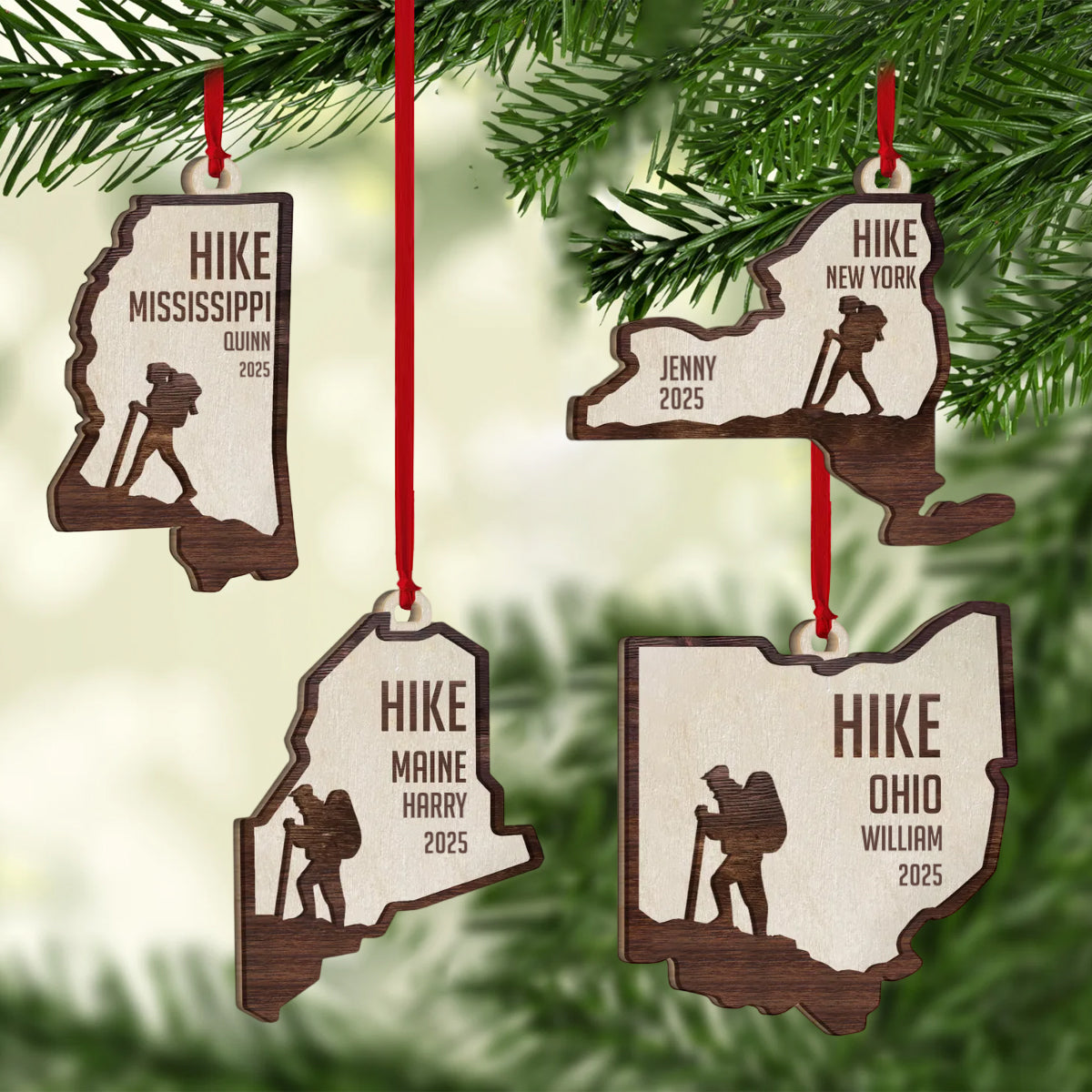 Hiking Team - Personalized Hiking 2 Layered Piece Ornament