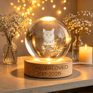 Custom Pet Memorial Night Light, Personalized Pet Portrait Crystal Ball Night Light