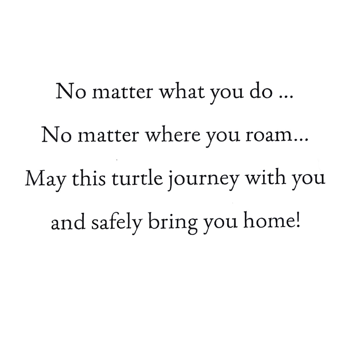 Personalized Travel Turtle Keyring Sea Life Keyring, Best friend Gift